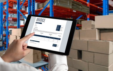 Muhasebe uygulamasından gelen fatura bilgisayar ekranında. Şirket işlerinin finans ve bütçesi için bilgisayar programı. Rahatça..