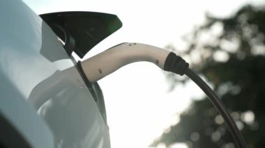 EV elektrikli araç EV şarj istasyonu ulusal park veya açık hava orman manzaralı. Çevre dostu EV arabalarla yaz ormanlarında doğal koruma. Yükselt