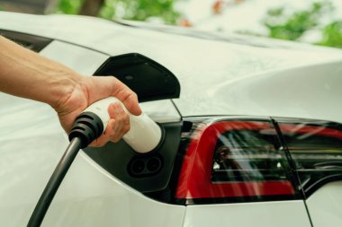 Yolculuk sırasında doğal orman ya da milli parktaki elektrikli araba için şarj olan bir adam. Tatil ve tatil boyunca çevre dostu seyahat. Yükselt