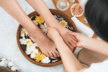 Kadınlar lüks spa salonlarında keyifli ayak masajlarına devam ederken, masör de hafif gün ışığı atmosferinde refleksoloji terapisi veya otel ayak spa 'sında. Sessiz.