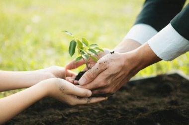 İşadamı, gübrelenmiş topraklarda küçük bir çocukla birlikte büyüyüp, büyüyen ve büyüyen bir bitki yetiştirerek sosyal sorumluluk sahibi bir çevre şirketi haline geldi, CO2 emisyonunu azalttı ve sürdürülebilir bir gelecek için ESG prensibini benimsedi. Gyre