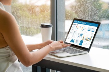 Computer software for website traffic analytics data on computer screen. Concept of SEO search engine optimization and customer targeting for online business snugly