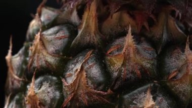 Bir ananasın yakın plan görüntüsü dramatik bir siyah arkaplan karşısında sahne alır. Sert, balmumu kabuğu, dikenli yeşil yapraklardan bir taç takıyor, siyah arkaplanla ayrılmış parıltılar. Geliştirilebilir.