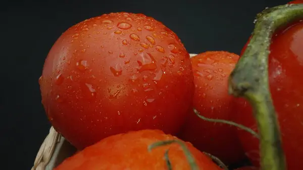 stock image Macrography, tomatoes nestled within a rustic wooden basket are showcased against a dramatic black background. Each close-up shot captures the rich colors and textures of the tomatoes. Comestible.