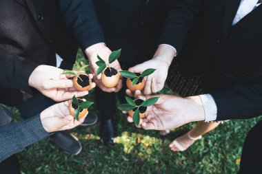 Group of business people holding repuposed eggshell transformed into fertilizer pot, symbolizing commitment to nurture and grow sprout or baby plant as part of a corporate reforestation project. Gyre clipart