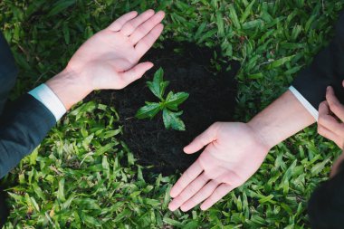 Üst düzey iş insanları grubu, gübrelenmiş toprak konsepti olan CSR şirketinin CSR kurumsal sosyal sorumluluk ilkesine bağlı olarak CO2 emisyonunu azaltarak birlikte büyür ve yetiştirir. Döngü