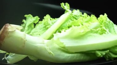 Makrografi, taze marul yaprakları siyah arka planda göze çarpar, çarpıcı bir görsel kontrast yaratır. Her yakın çekim marulun karmaşık detaylarını ve dokusunu yakalar. Geliştirilebilir.