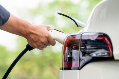 Yolculuk sırasında doğal orman ya da milli parktaki elektrikli araba için şarj olan bir adam. Tatil ve tatil boyunca çevre dostu seyahat. Yükselt