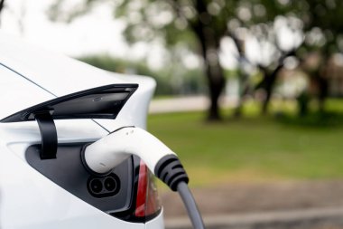 Açık yeşil şehir parkı manzarasındaki EV şarj istasyonundan EV elektrikli araç şarj oluyor. Çevre dostu EV araba yolculuğuyla doğal koruma. Yükselt