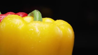 Bu çarpıcı makrografide kırmızı ve sarı dolmalık biberler siyah arka planda. Her yakın çekim zengin renkleri, karmaşık dokuları ve dolmalık biberlerin büyüleyici detaylarını yakalar. Geliştirilebilir.