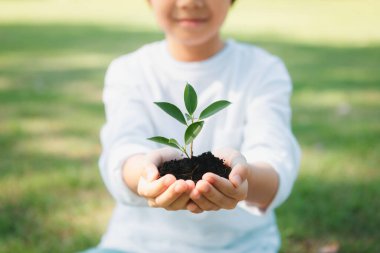 Asyalı çocuk filizlenirken ormanların yeniden ağaçlandırılması ve uzun vadeli çevresel sürdürülebilirlik konusunda çevre bilincinin desteklenmesi. Sürdürülebilir ekosistem ile gelecek nesiller için daha yeşil doğayı beslemek. Döngü