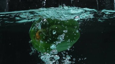 Suda yüzen taze yeşil dolma biberi yakın çekim. Biber yuvarlaktır ve üzerinde yeşil bir sapı vardır. Suya düşen yeşil dolmalık biber ve siyah arka planla sıçrayan. Pabulum.