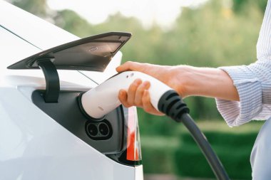 Yolculuk sırasında doğal ormanlarda ya da güneş ışığı alan ulusal parklarda elektrikli araba için şarj olan genç bir kadın. Tatil ve tatil boyunca çevre dostu seyahat. Yükselt