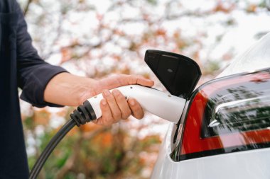 Sonbahar gezisi sırasında sonbahar ormanı arabasında elektrikli araba için şarj eden bir adam. Sonbahar tatilinde elektrikli araçla çevre dostu bir seyahat. Yükselt