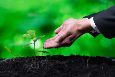 İşadamı, gübrelenmiş toprak konsepti üzerinde büyüyen ve yetiştiren eko şirketinin kurumsal sosyal sorumluluğunu üstlenen, CO2 emisyonunu azaltan ve sürdürülebilir gelecek için ESG ilkesini benimseyen bir iş adamı. Döngü
