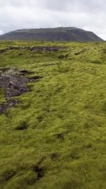 İzlanda, Avrupa 'daki yosunlu lav sahasının havadan görünüşü.
