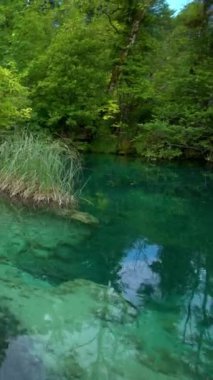 Hırvatistan 'ın Plitvice Gölleri' nin güzel doğa manzarası. Plitvice Gölleri Ulusal Parkı, Hırvatistan 'ın orta kesimindeki Karst Dağı' nda UNESCO Dünya Mirası olarak yer alıyor..