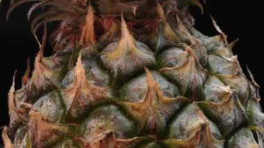 Bir ananasın yakın plan görüntüsü dramatik bir siyah arkaplan karşısında sahne alır. Sert, balmumu kabuğu, dikenli yeşil yapraklardan bir taç takıyor, siyah arkaplanla ayrılmış parıltılar. Geliştirilebilir.