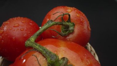Makrografi, ahşap bir sepete yerleştirilmiş domatesler dramatik bir siyah arka plana karşı sergileniyor. Her yakın çekim domateslerin zengin renklerini ve dokularını yakalar. Geliştirilebilir.