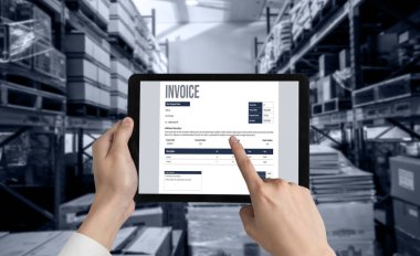 Muhasebe uygulamasından gelen fatura bilgisayar ekranında. Şirket işlerinin finans ve bütçesi için bilgisayar programı. Rahatça..