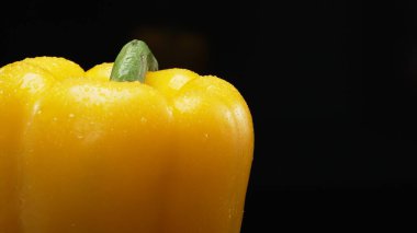 Makrografi, parlak siyah arka plana karşı sarı dolma biberin canlı özü sahne alır. Yakın çekim titizlikle biberin detaylarını ve dokusunu yakalar. Geliştirilebilir.