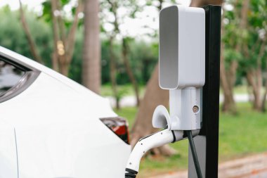 EV elektrikli araç EV şarj istasyonu ulusal park veya açık hava orman manzaralı. Çevre dostu EV arabalarla yaz ormanlarında doğal koruma. Yükselt