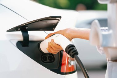 Yolculuk sırasında doğal orman ya da milli parktaki elektrikli araba için şarj olan genç bir kadın. Tatil ve tatil boyunca çevre dostu seyahat. Yükselt