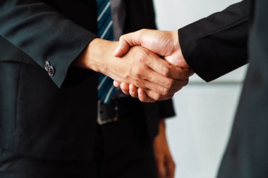 İş adamları konsepti kabul ediyor. İş adamı toplantı odasında başka bir iş adamıyla tokalaşıyor. uds