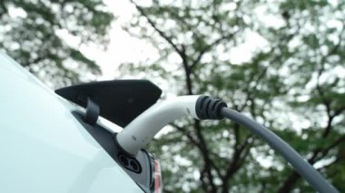 EV elektrikli araç EV şarj istasyonu ulusal park veya açık hava orman manzaralı. Çevre dostu EV arabalarla yaz ormanlarında doğal koruma. Yükselt