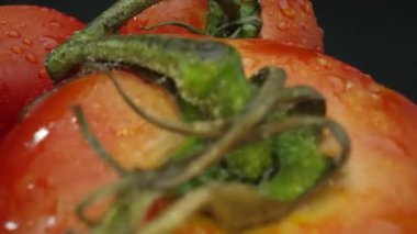 Makrografi, ahşap bir sepete yerleştirilmiş domatesler dramatik bir siyah arka plana karşı sergileniyor. Her yakın çekim domateslerin zengin renklerini ve dokularını yakalar. Geliştirilebilir.