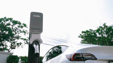 Doğal yeşil şehir parkındaki otoparkta EV elektrikli araba şarj pili. Sürdürülebilir ve çevre dostu şehir yolculuğu için yenilenebilir otomobil için alternatif temiz enerji teknolojisi. Eşzamanlama