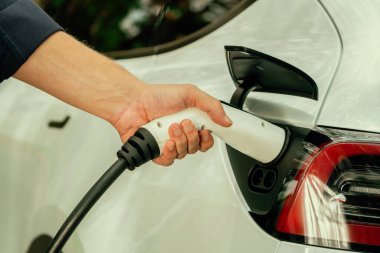 Sonbahar gezisi sırasında sonbahar ormanı arabasında elektrikli araba için şarj eden bir adam. Sonbahar tatilinde elektrikli araçla çevre dostu bir seyahat. Yükselt