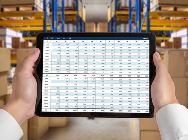 Bilgisayar ekranındaki muhasebe yazılımı finansal hesap tablolarını ve kurumsal iş dengelerini gösteriyor. Muhasebeciye iyi bir muhasebe sunuyor.