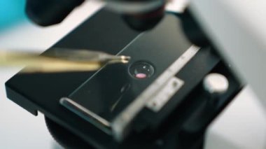 Bilimsel laboratuar araştırmacısı mikroskobik slayt üzerine sıvı örneği bırakır. Tıbbi muayene için ya da yeni teşhis aleti için. Mikrobiyolog ya da tıp çalışanı laboratuarda deney yapıyor. Ağır çekim. Katı.