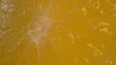 Dilimlenmiş bir portakalın canlı turuncu renginde makro fotoğrafı ve narenciye meyvesinin sulu etinden görülebilir. Portakalın eti dolgun görünüyor. Sıcaklığını gösteriyor. Geliştirilebilir.