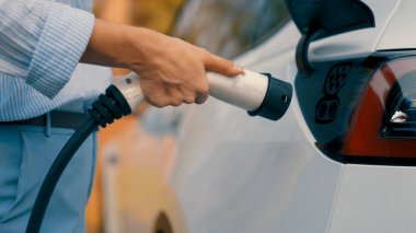 Otomobil seyahati sırasında elektrikli araba için şarj olan kadın Autumanl sezonunda doğal orman ya da milli parkta. Tatil ve tatil boyunca çevre dostu seyahat. Yükselt