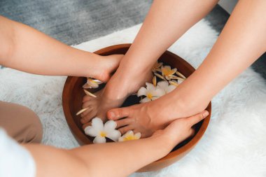 Kadınlar lüks spa salonlarında keyifli ayak masajlarına devam ederken, masör de hafif gün ışığı atmosferinde refleksoloji terapisi veya otel ayak spa 'sında. Sessiz.