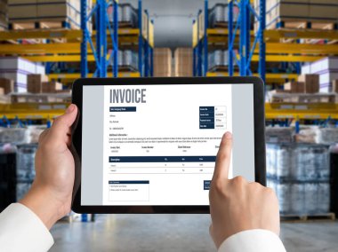 Muhasebe uygulamasından gelen fatura bilgisayar ekranında. Şirket işlerinin finans ve bütçesi için bilgisayar programı. Rahatça..