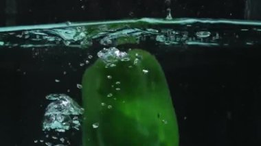 Suda yüzen taze yeşil dolma biberi yakın çekim. Biber yuvarlaktır ve üzerinde yeşil bir sapı vardır. Suya düşen yeşil dolmalık biber ve siyah arka planla sıçrayan. Pabulum.