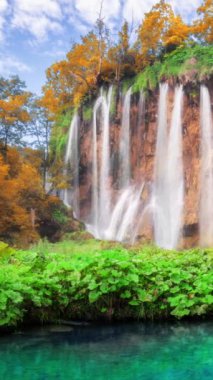 Sonbaharda Plitvice Gölleri Hırvatistan 'daki şelale manzarasının kusursuz döngü sineması videosu. Rahatlama arka planı için sakin doğa manzarası .