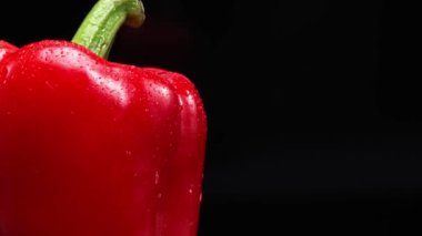 Kırmızı dolma biberin siyah arka planda bıraktığı makrografi sahnenin ortasında yer alır. Her yakın çekim titizlikle karabiberin karmaşık detaylarını ve dokusunu yakalıyor. Kapatın. Geliştirilebilir.