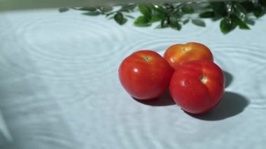 Taze domatesleri yeşil yapraklı mavi desenli arka planda kapatın. Sulu kırmızı domateslerin makrografisi. Doğal ışık stüdyo fotoğrafçılığı. Sağlıklı beslenme ve yeme konsepti. Pabulum.