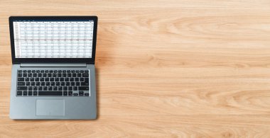 Bilgisayar ekranındaki muhasebe yazılımı finansal hesap tablolarını ve kurumsal iş dengelerini gösteriyor. Muhasebeciye iyi bir muhasebe sunuyor.