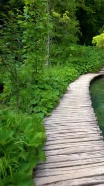 Hırvatistan 'ın Plitvice Gölleri' nin güzel doğa manzarası. Plitvice Gölleri Ulusal Parkı, Hırvatistan 'ın orta kesimindeki Karst Dağı' nda UNESCO Dünya Mirası olarak yer alıyor..