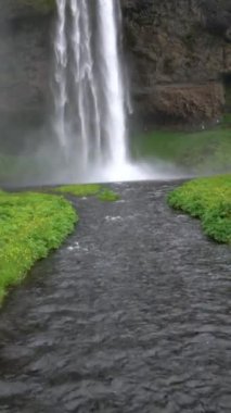 İzlanda 'daki büyülü Seljalandsfoss Şelalesi. Güney İzlanda 'nın çevre yolunun yakınında yer almaktadır. Görkemli ve görkemli, İzlanda 'nın en çok fotoğraflanan nefes kesici yerlerinden biri..