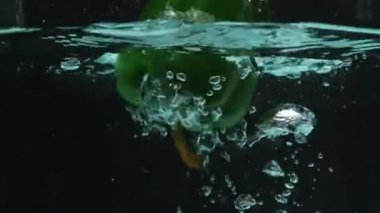 Suda yüzen taze yeşil dolma biberi yakın çekim. Biber yuvarlaktır ve üzerinde yeşil bir sapı vardır. Suya düşen yeşil dolmalık biber ve siyah arka planla sıçrayan. Pabulum.