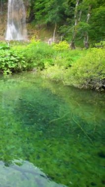 Hırvatistan 'ın Plitvice Gölleri' nin güzel şelale manzarası. Plitvice Gölleri Ulusal Parkı, Hırvatistan 'ın orta kesimindeki Karst Dağı' nda UNESCO Dünya Mirası olarak yer alıyor..