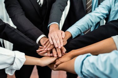 Çok ırklı iş adamları toplantı odasında iş birliği ya da şirket çalışanları için takım oluşturma amacıyla bir araya toplanıyorlar. Çok titiz.