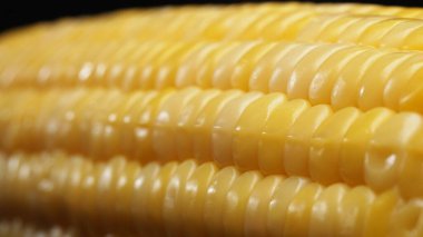 Taze mısırın yakından bakıldığında siyah arkaplanı olan altın sarısı bir çekirdek görülüyor. Bu tombul ve besin değeri yüksek mücevher, tatlı ve tereyağlı olduğunu ima eden parlak bir parıltıya sahip. Geliştirilebilir.