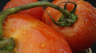 Macrography, tomatoes nestled within a rustic wooden basket are showcased against a dramatic black background. Each close-up shot captures the rich colors and textures of the tomatoes. Comestible. clipart